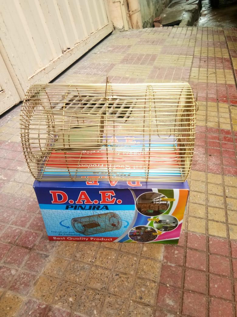 Taar 